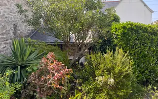 maison 2 pièces à Plouhinec (29780) — photo 24