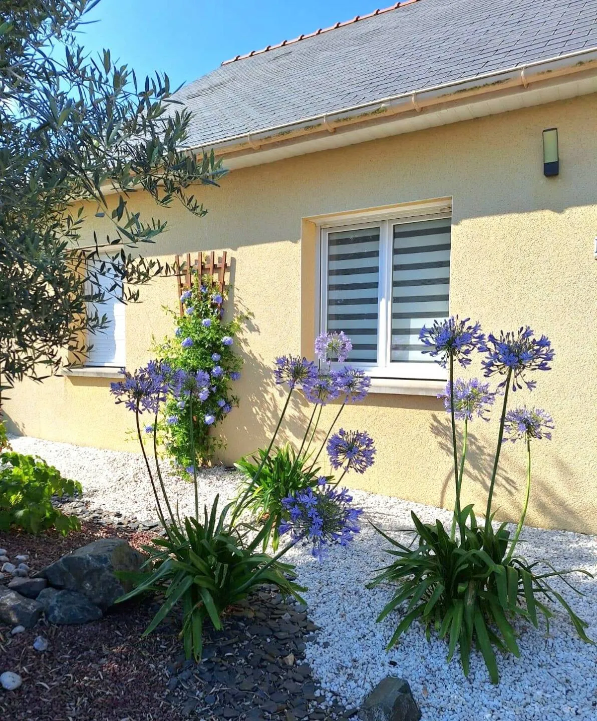 maison 4 pièces à Saint-Mars-la-Jaille (44540)