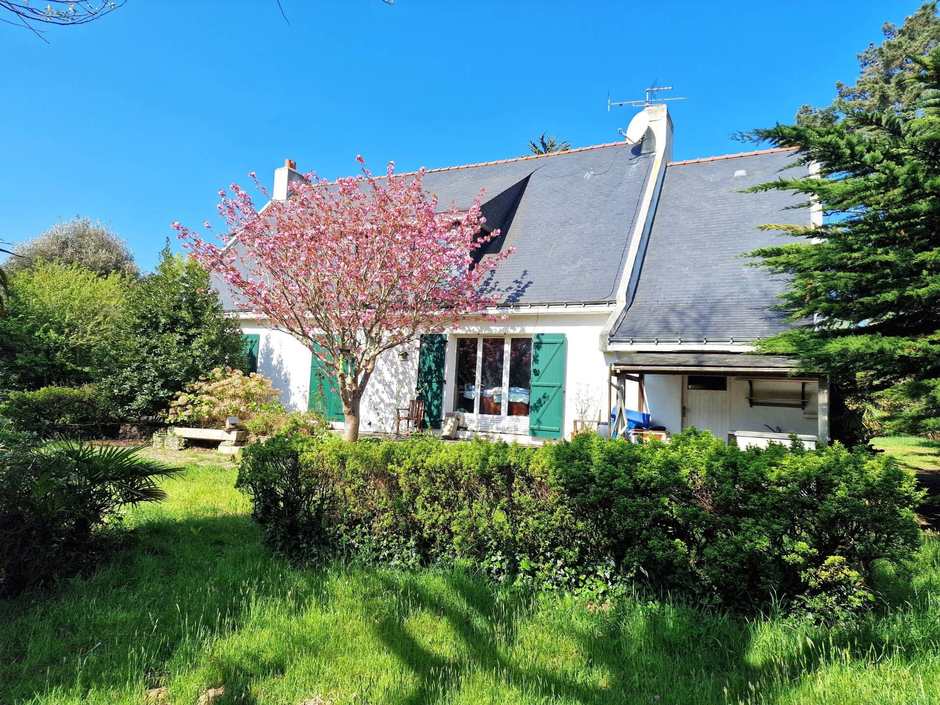 Maison en viager occupé BELLE ILE EN MER - LE PALAIS